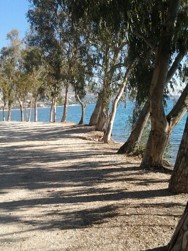 Grece- Apres Ath�nes  plage